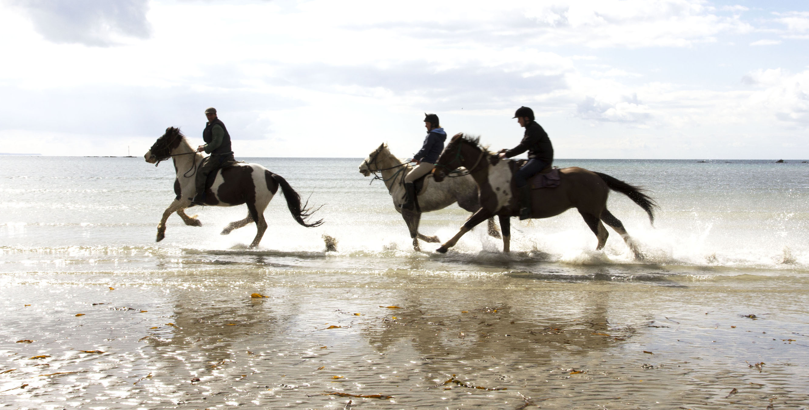 Horse Riding Holiday Cornwall Riding Holidays Beach Horse Riding